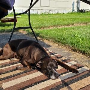 Meet your Posher, Debbi